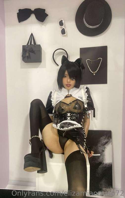 Kitty cats