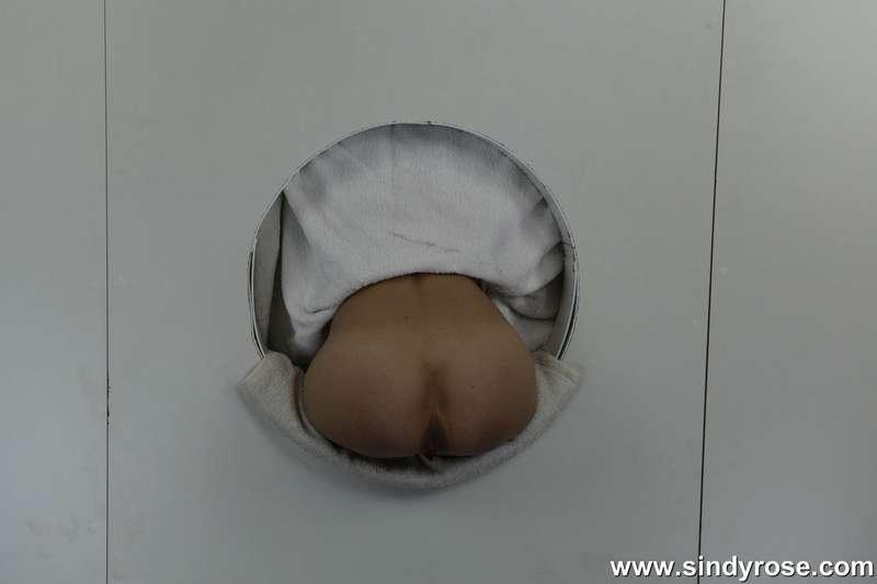 sindyrose image #6