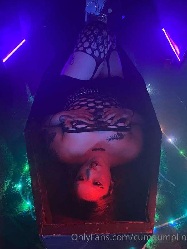 cumdumplin image #17