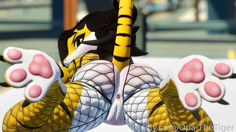 opalthetiger image #1