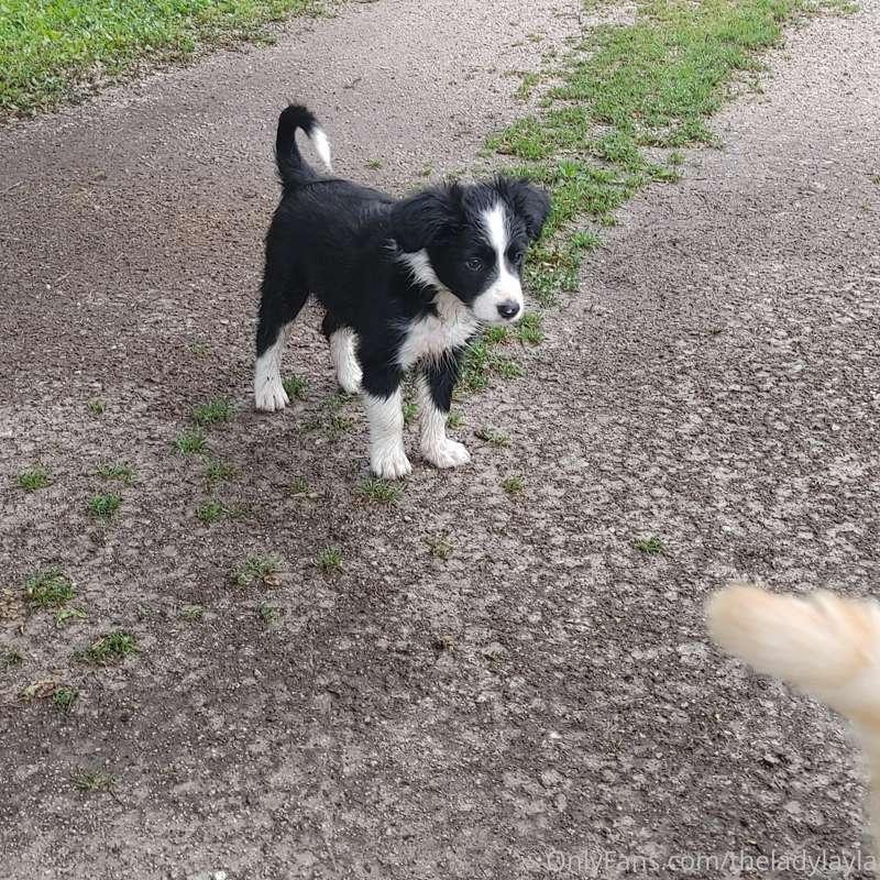 Playing in the rain.