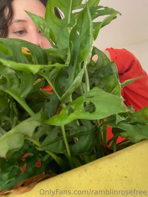 who else is out here buying and killing plants what am I doi..