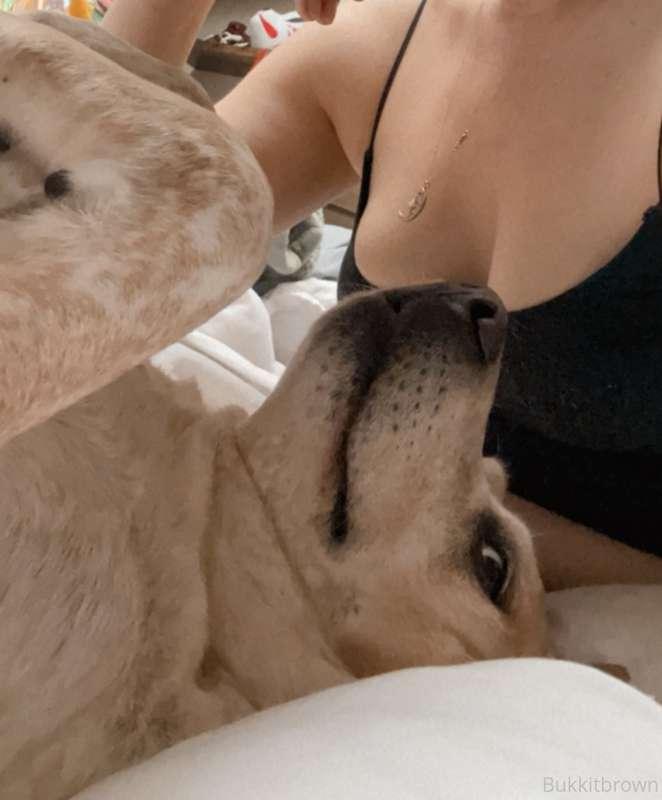 bukkitbrown image #0