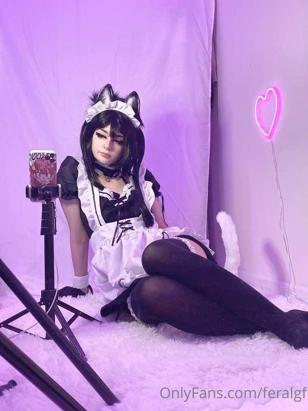anyone need a maid? 💌 catgirl maid cant keep her paws off u ..