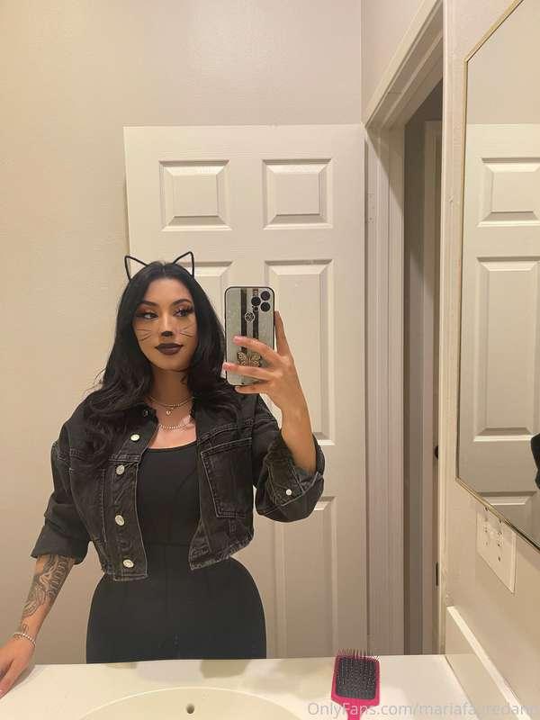 spooky szn 🐱