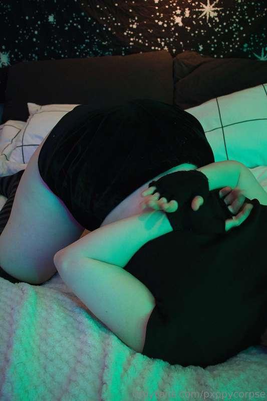 pxppycorpse image #0