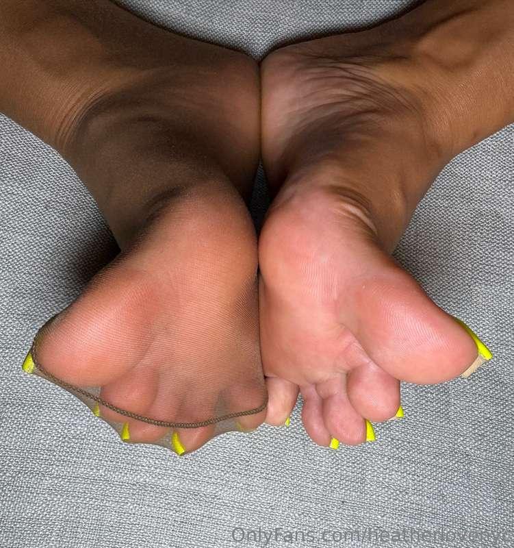 More Nylons?🤩