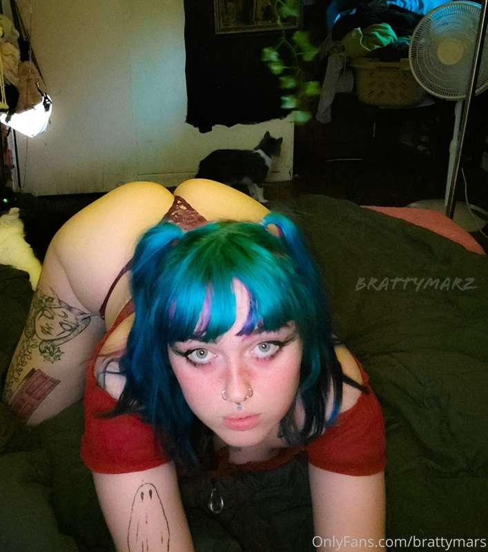 Could you even hit it ?