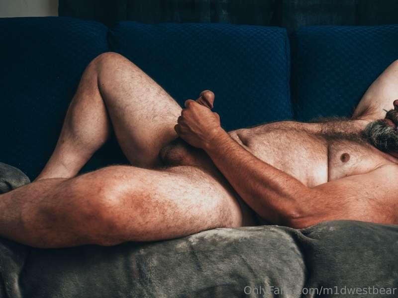 m1dwestbear image #9