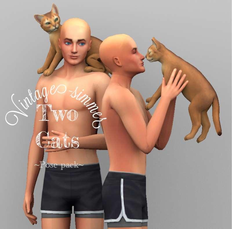 ˗ˏˋTwo Cats ~Pose packˎˊ˗
