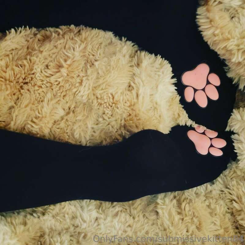 submissivekitten84 image #8
