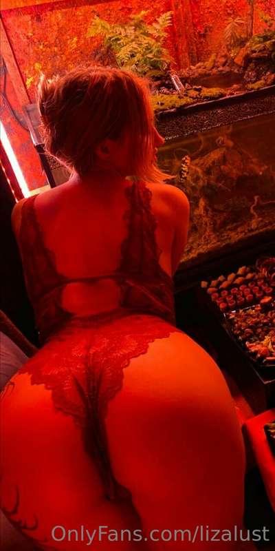 😍 Temptations are made to be succumbed to 😈

💟 So don't deny..