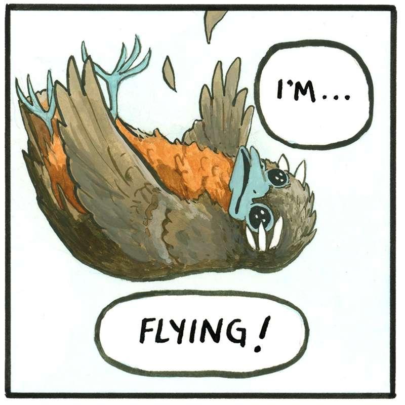 Part 5 - Flying