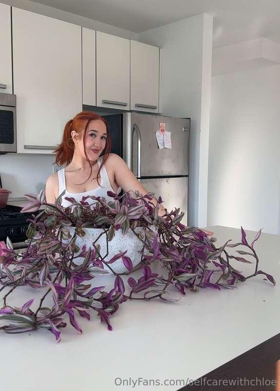 I can’t believe how big this plant has gotten! And it’s my f..