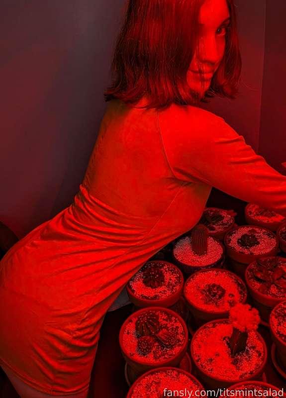 titsmintsalad image #1