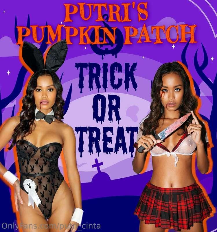 ⚡️🎃PUTRI’S PUMPKIN PATCHALL TREATS!!! NO TRICKS!!!🎃 $10 FREA..
