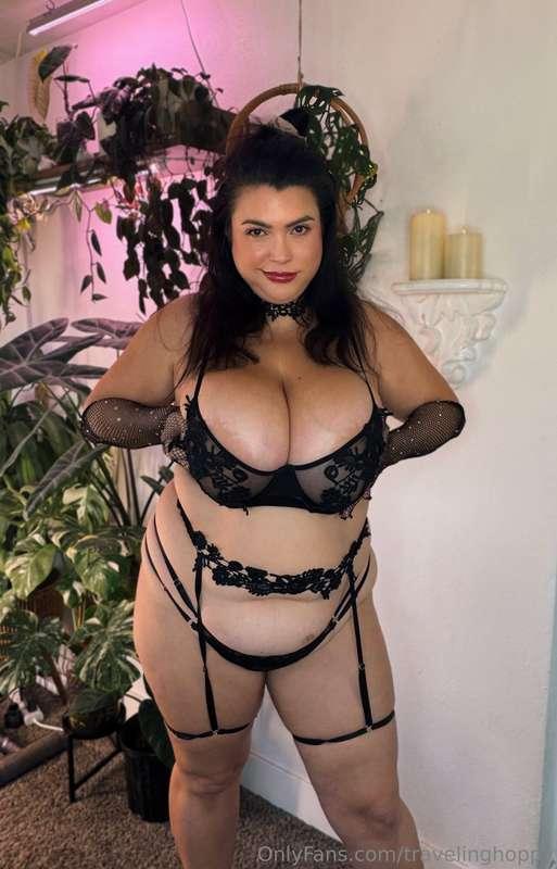 travelinghoppy image #5