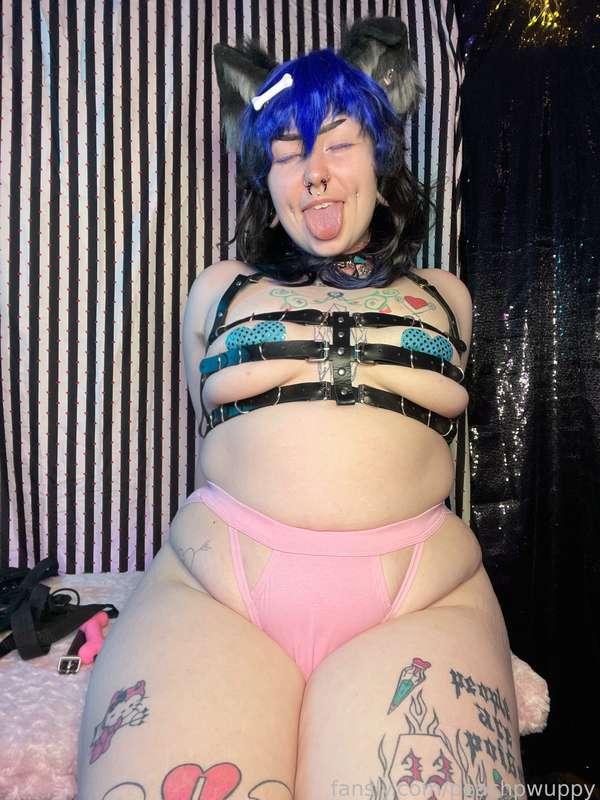 peachpwuppy image #8