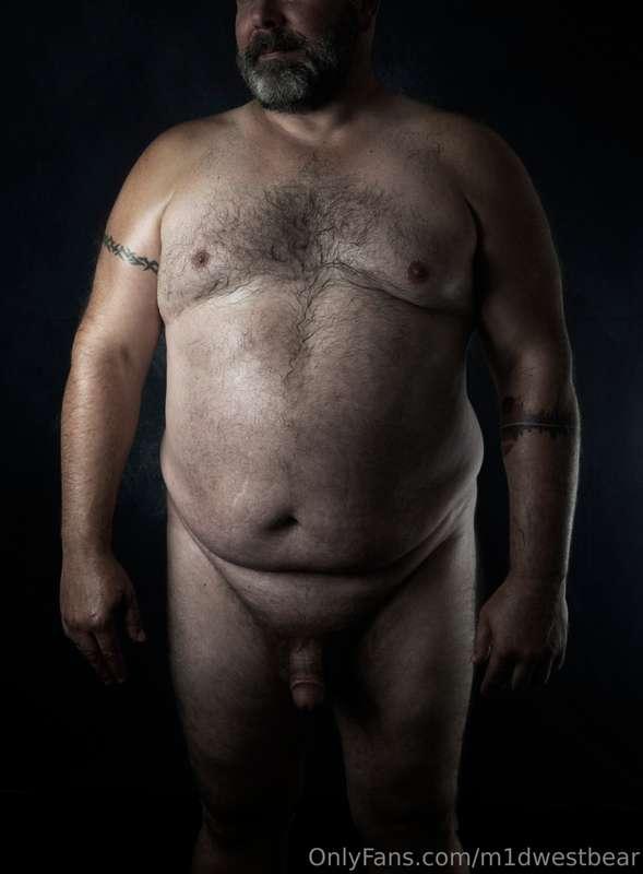 m1dwestbear image #2