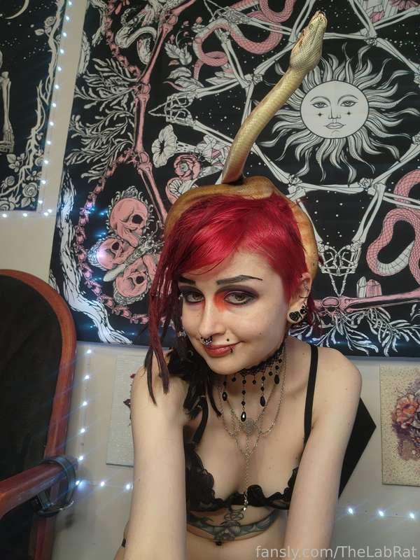 thelabrat image #1