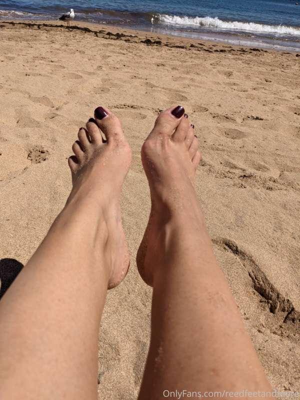 reedfeetandmore image #1