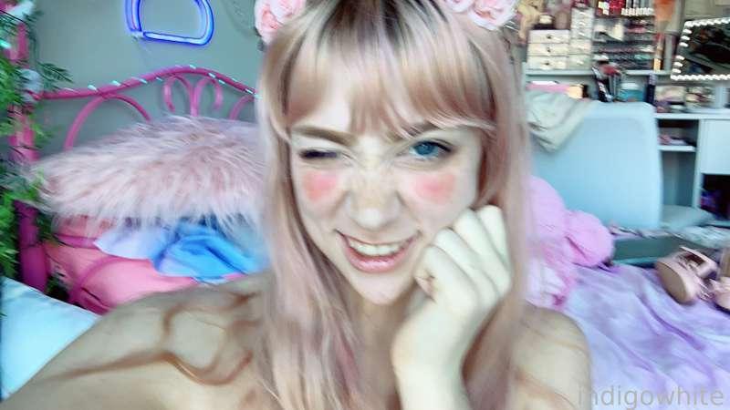 indigowhite image #158