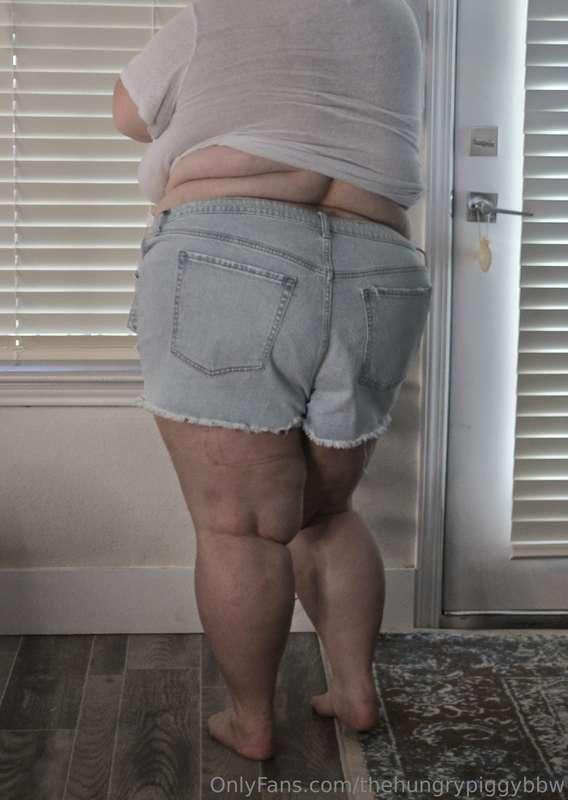 thehungrypiggybbw image #9