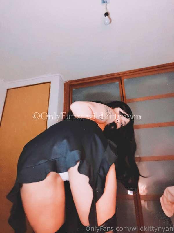 wildkittynyan image #2