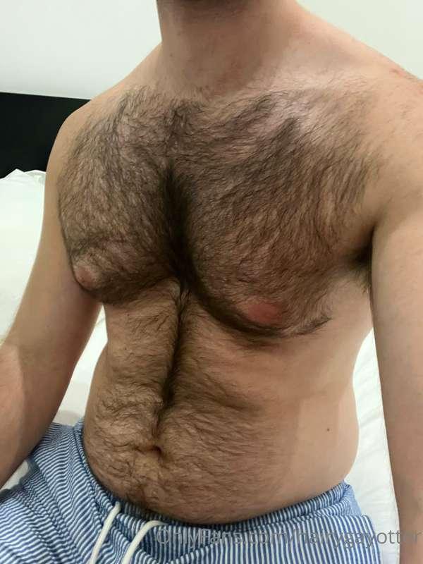 hairygayotter image #3