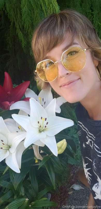 Pollinate my lilly