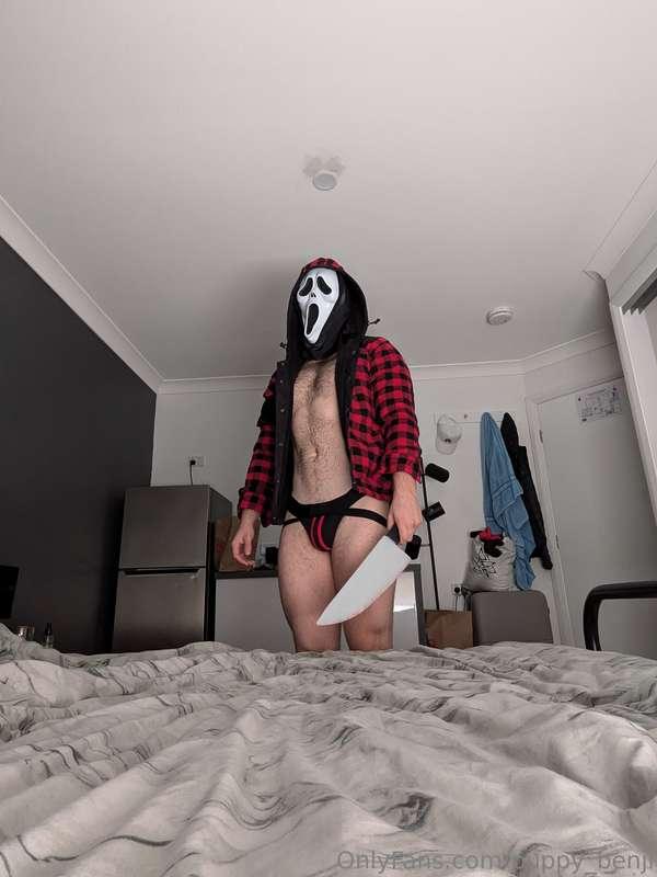 puppy_benji image #1