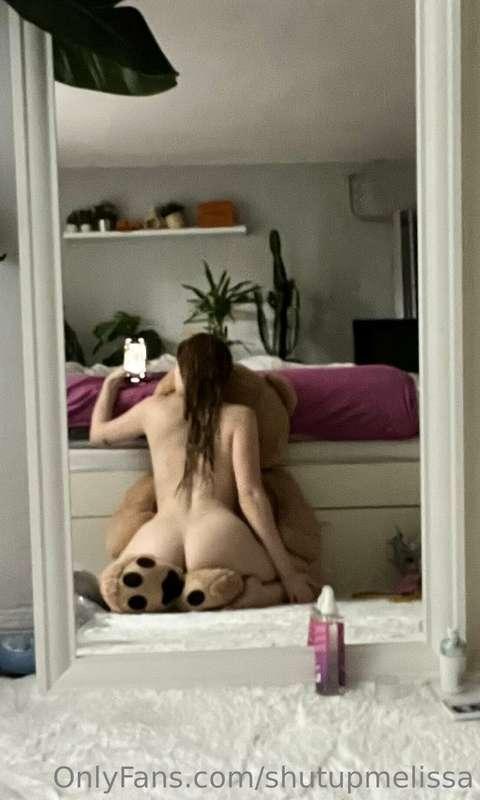 🐻🐻🐻