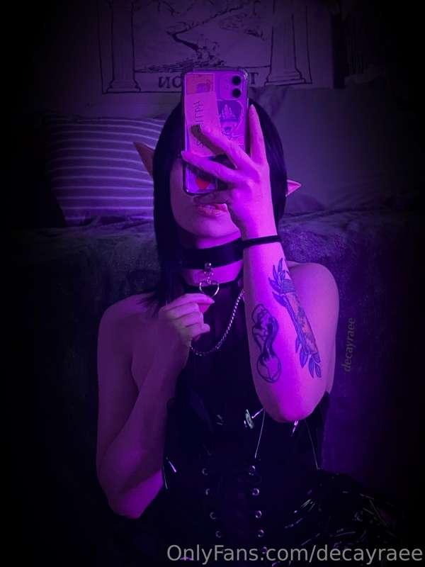 new collar — who has the leash ?? 🐈‍⬛🖤