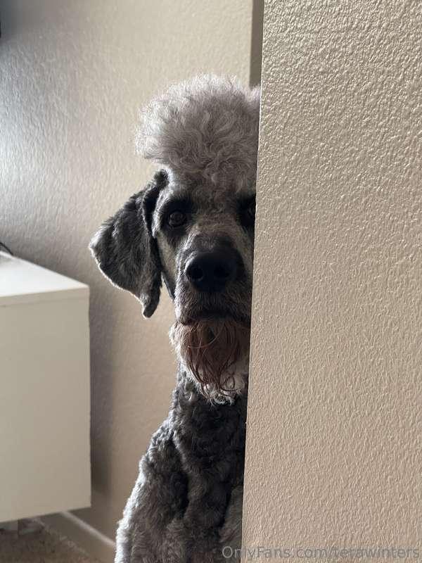 My boy creepin around the corner begging 😑