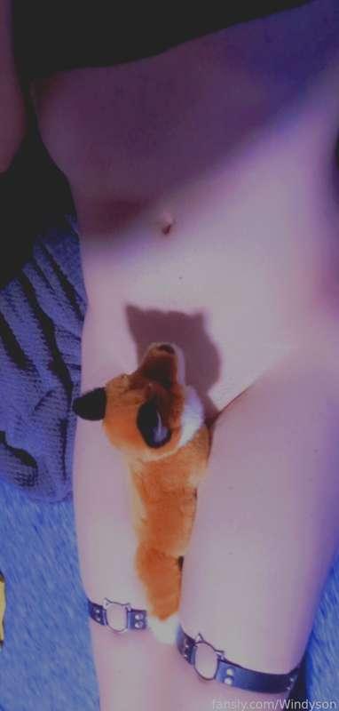 My fox is judging you for looking at my pp~
Silly bwahkas~