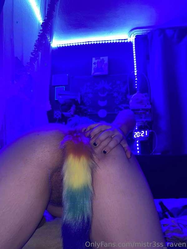 Look at my new tail~
