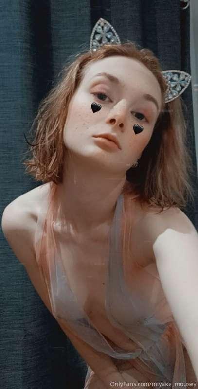 miyake_mousey image #1