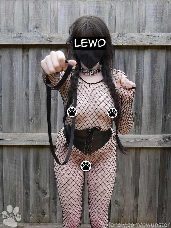 pwupster image #0