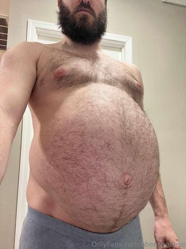 obeesegeese image #1