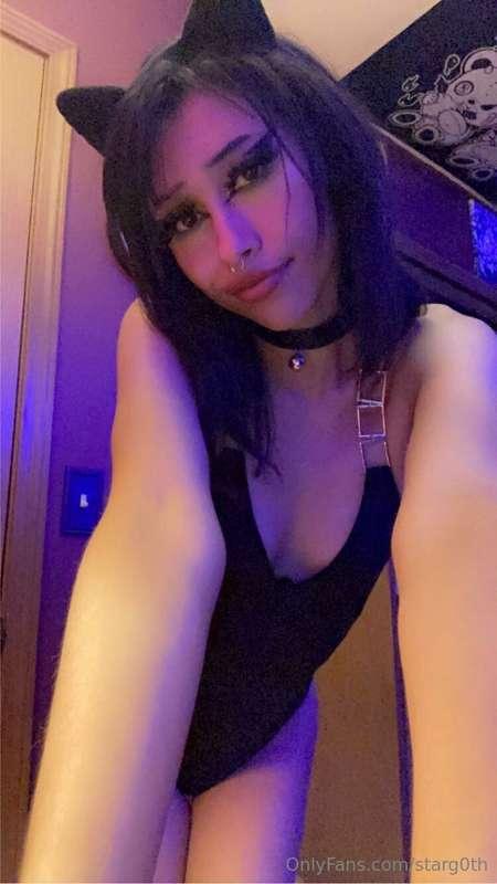 can i be your kitty? i’ll let you play with me 🐱💞