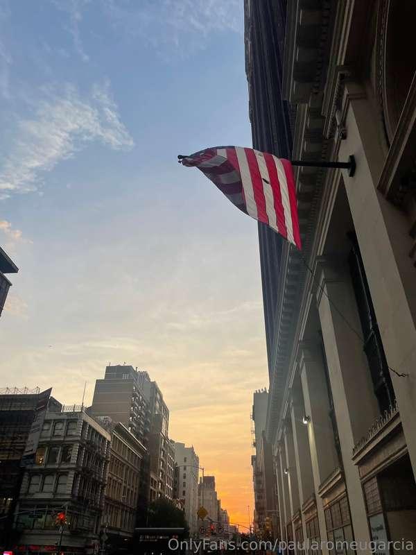 bigbravebird image #3