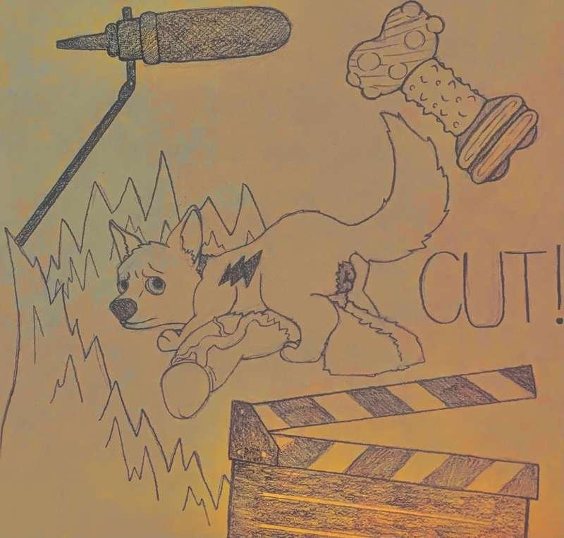 Bolt