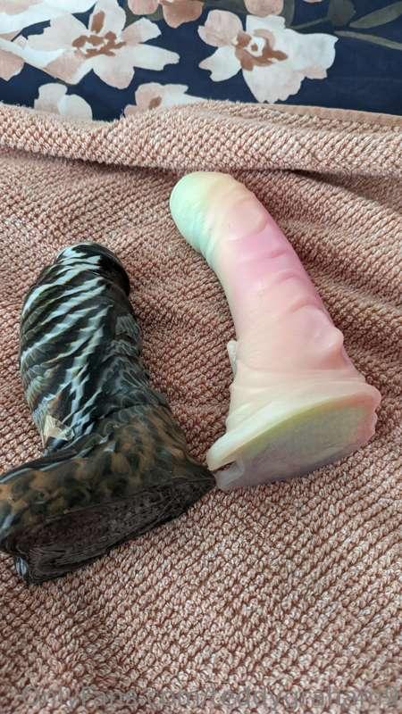 Toy time is my favorite time