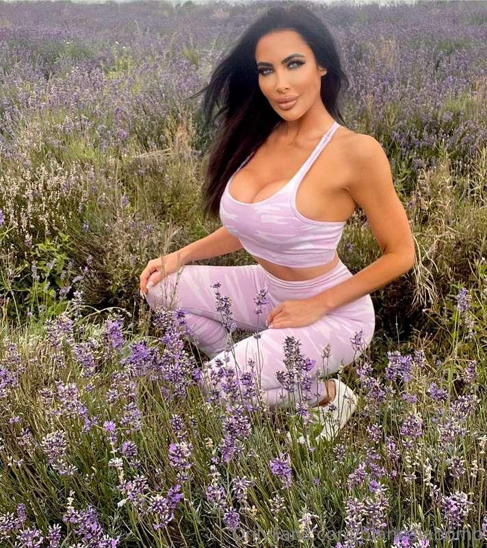 Lavender Dreams 🌸