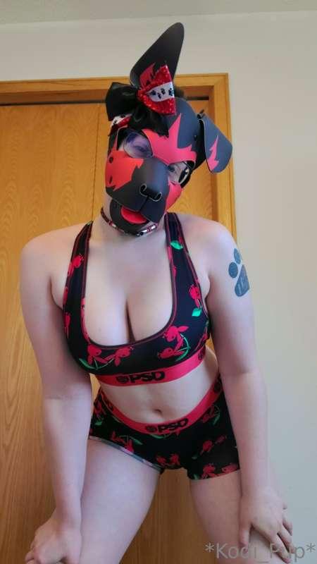 kodi_pup main image
