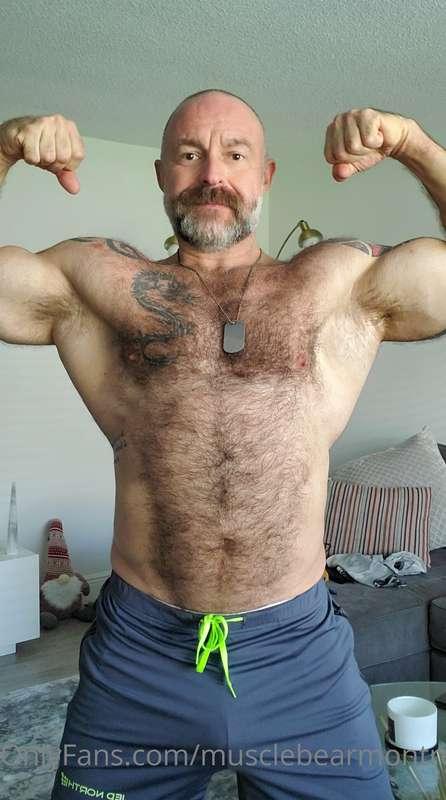 My bulking season is doing well...it's not done yet. Let's a..