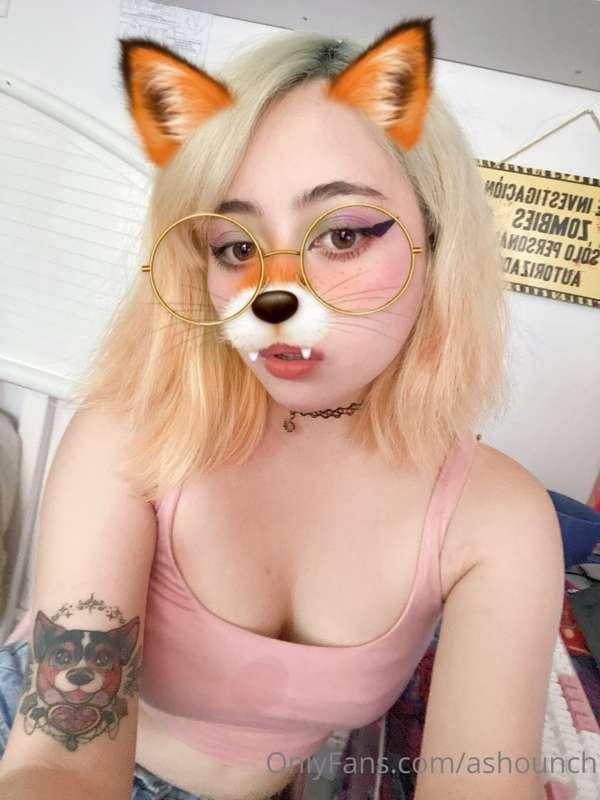 🦊🦊🦊🦊🦊