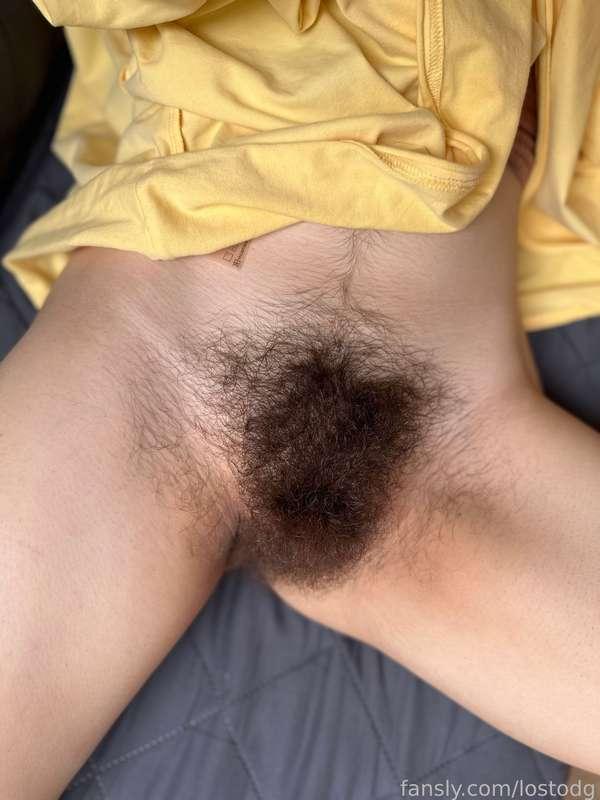 lostodg image #7