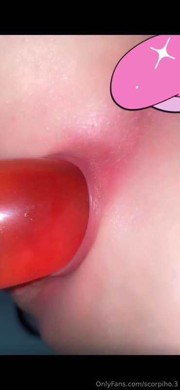 scorpiho.3 main image