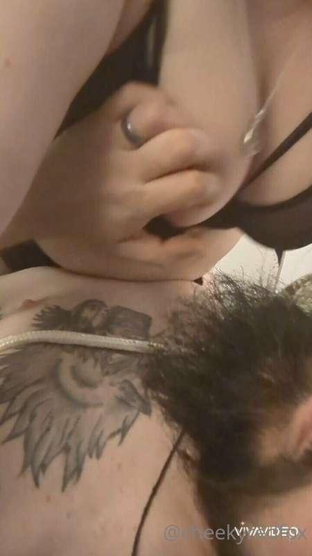 cheekyredfox image #0